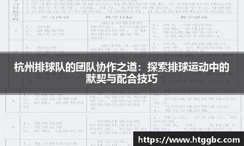 杭州排球队的团队协作之道：探索排球运动中的默契与配合技巧